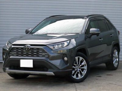 2019 TOYOTA RAV4 G Z PACKAGE