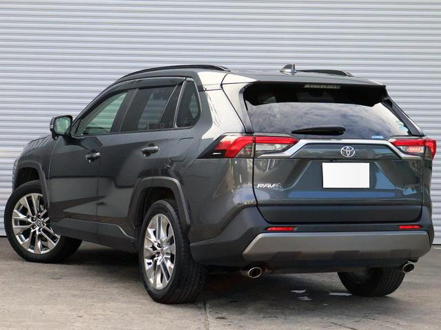 2019 TOYOTA RAV4 G Z PACKAGE