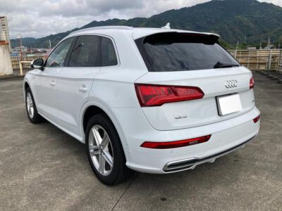 2019 AUDI Q5 45 TFSI QUATTRO SPORT S LINE