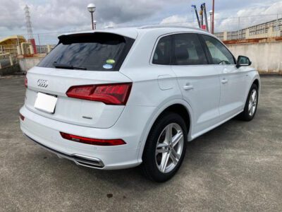 2019 AUDI Q5 45 TFSI QUATTRO SPORT S LINE