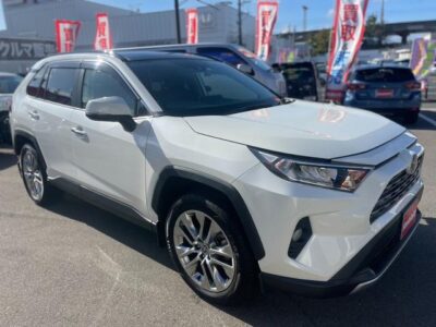 2019 TOYOTA RAV4 G Z PACKAGE