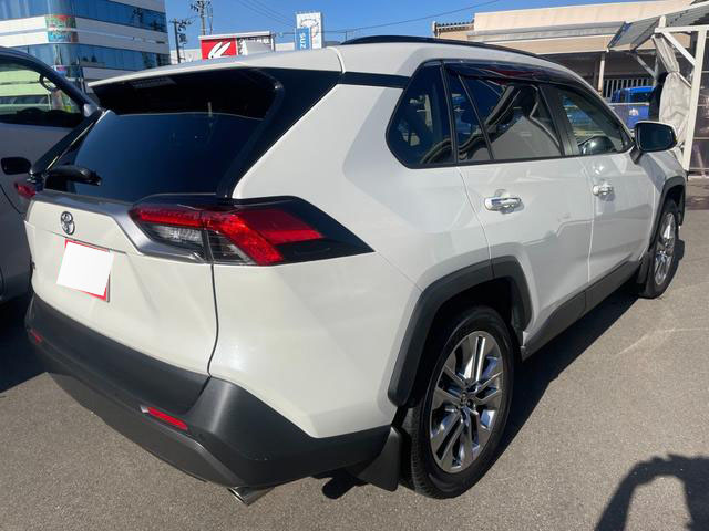 2019 TOYOTA RAV4 G Z PACKAGE