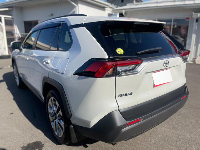 2019 TOYOTA RAV4 G Z PACKAGE