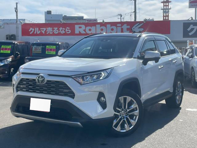 2019 TOYOTA RAV4 G Z PACKAGE