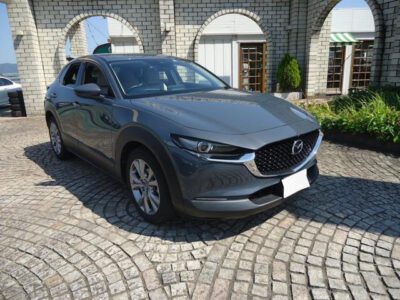 2019 MAZDA CX-30 20S PROACTIVE