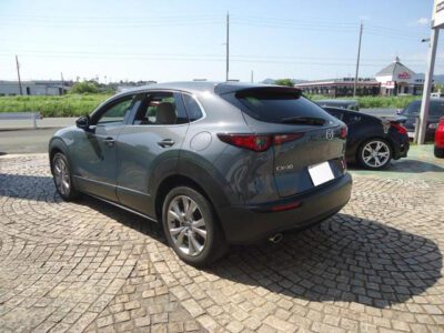 2019 MAZDA CX-30 20S PROACTIVE