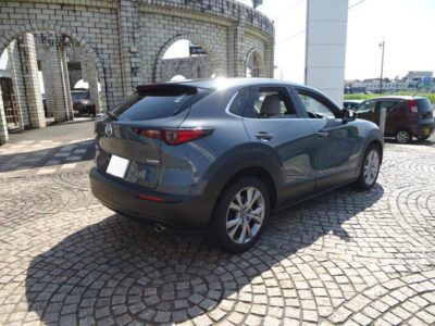 2019 MAZDA CX-30 20S PROACTIVE