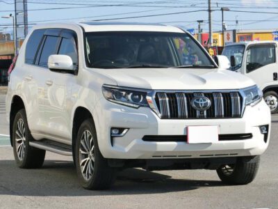 2019 TOYOTA LAND CRUISER PRADO TZ-G GDJ151