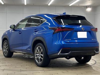 2018 LEXUS NX300H VERSION L