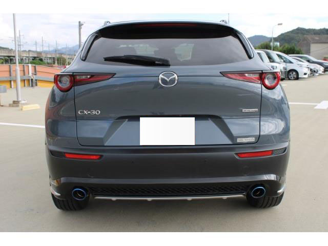 2019 MAZDA CX-30 20S PROACTIVE TOURING SELECTION