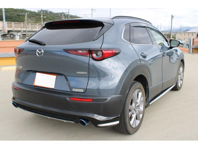 2019 MAZDA CX-30 20S PROACTIVE TOURING SELECTION