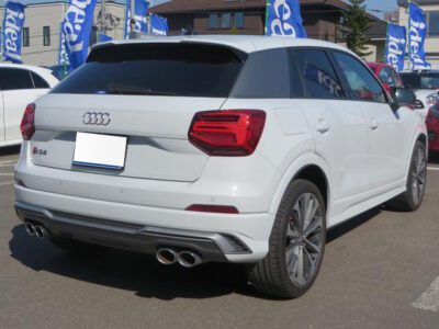 2019 AUDI SQ2