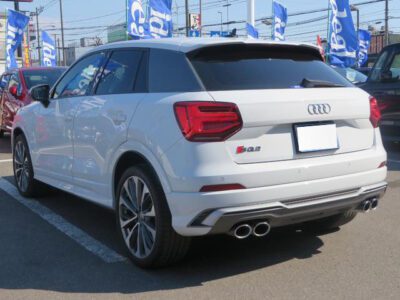 2019 AUDI SQ2