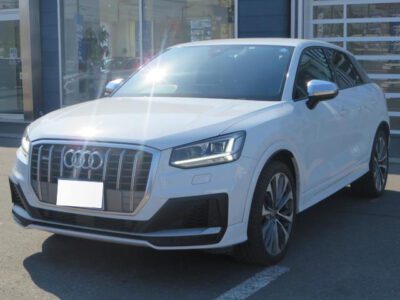 2019 AUDI SQ2