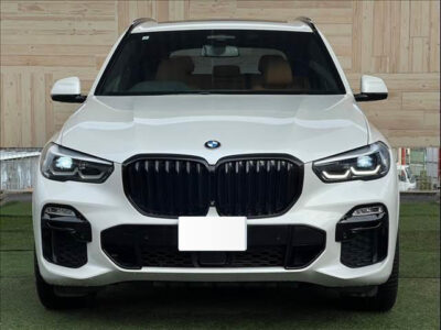 2019 BMW X5 xDrive 35d M Sport F15