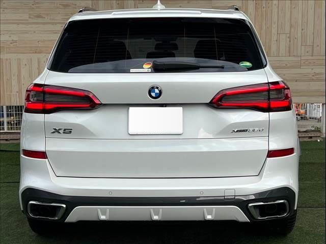 2019 BMW X5 xDrive 35d M Sport F15