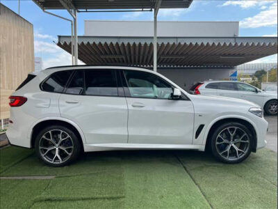 2019 BMW X5 xDrive 35d M Sport F15