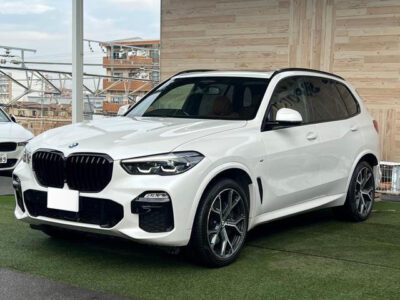 2019 BMW X5 xDrive 35d M Sport F15