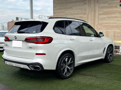 2019 BMW X5 xDrive 35d M Sport F15