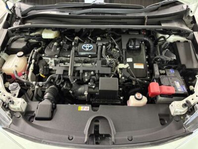 2019 Toyota Corolla Sport Hybrid G Z