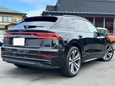 2019 AUDI Q8 55TFSI QUATTRO
