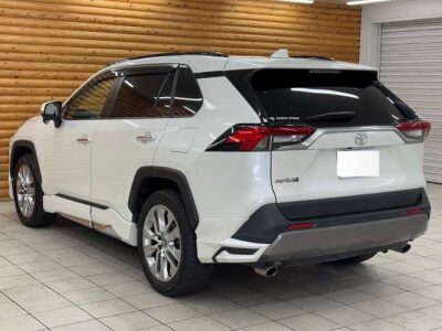 2019 Toyota Rav4 G Z Package