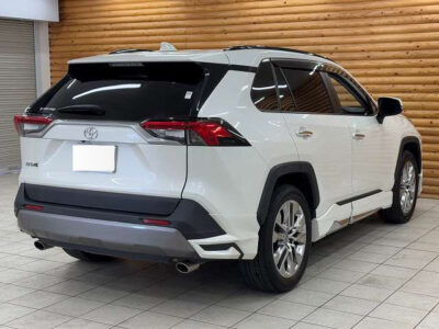 2019 Toyota Rav4 G Z Package