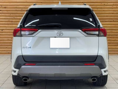 2019 Toyota Rav4 G Z Package