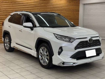 2019 Toyota Rav4 G Z Package