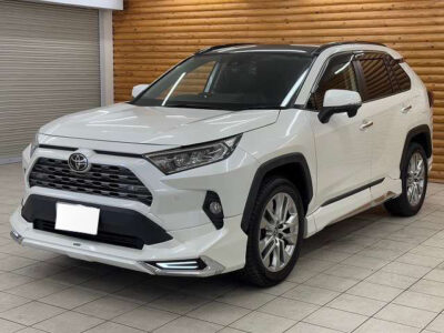 2019 Toyota Rav4 G Z Package