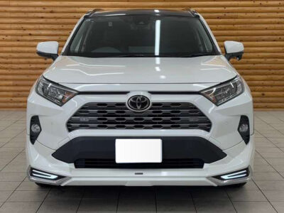 2019 Toyota Rav4 G Z Package