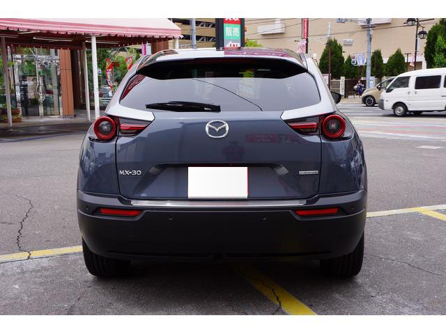 2020 MAZDA MX-30