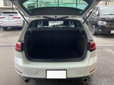 2019 Volkswagen Golf GTI Performance