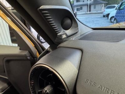 2024 TOYOTA LAND CRUISER 250 VX FIRST EDITION (RARE/SPECIAL COLOR) - 3DA-GDJ250W