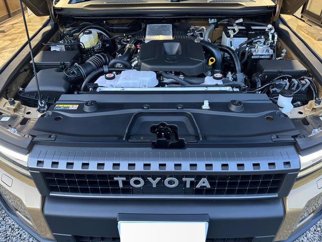 2024 TOYOTA LAND CRUISER 250 VX FIRST EDITION (RARE/SPECIAL COLOR) - 3DA-GDJ250W