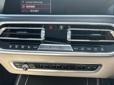 2019 BMW X7 xDrive 35d M Sport