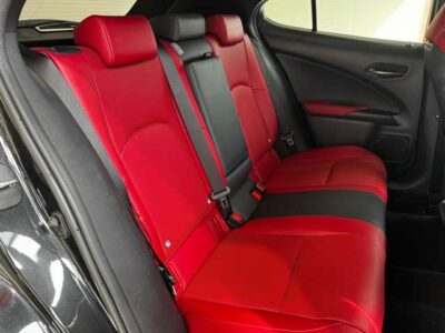 2019 LEXUS UX250h F Sport