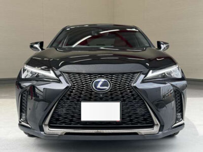 2019 LEXUS UX250h F Sport