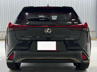 2019 LEXUS UX250h F Sport
