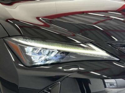 2019 LEXUS UX250h F Sport
