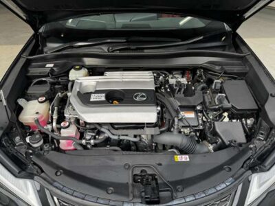 2019 LEXUS UX250h F Sport