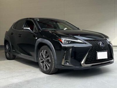 2019 LEXUS UX250h F Sport