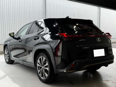2019 LEXUS UX250h F Sport