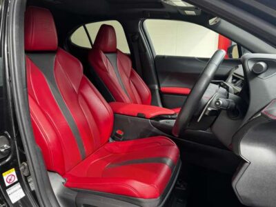 2019 LEXUS UX250h F Sport