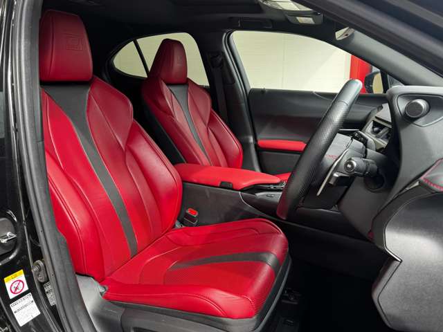 2019 LEXUS UX250h F Sport