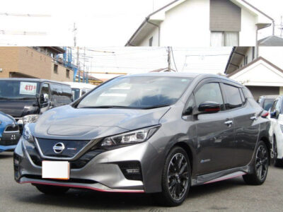 2019 Nissan Leaf Nismo