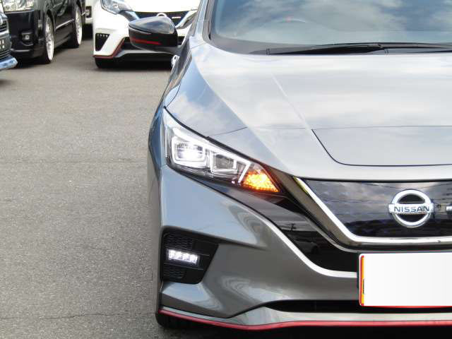 2019 Nissan Leaf Nismo