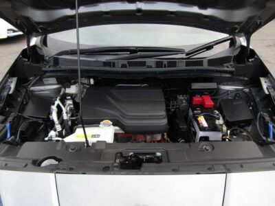 2019 Nissan Leaf Nismo