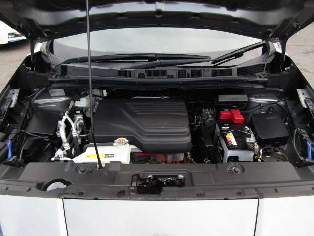 2019 Nissan Leaf Nismo