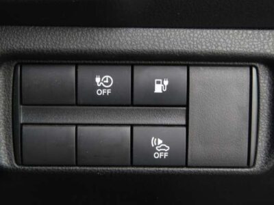 2019 Nissan Leaf Nismo